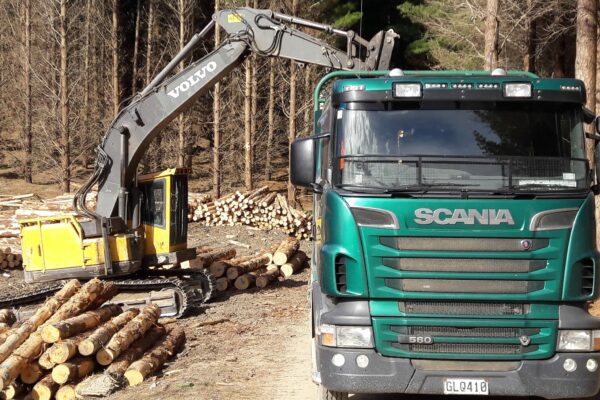 safety_management_forestry_alliance_solutions_1