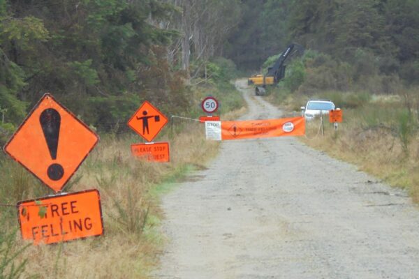 traffic_management_forestry_tree_services_roadside_safety_1